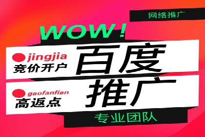 解析某某SEM服务公司如何通过数据分析优化广告效果